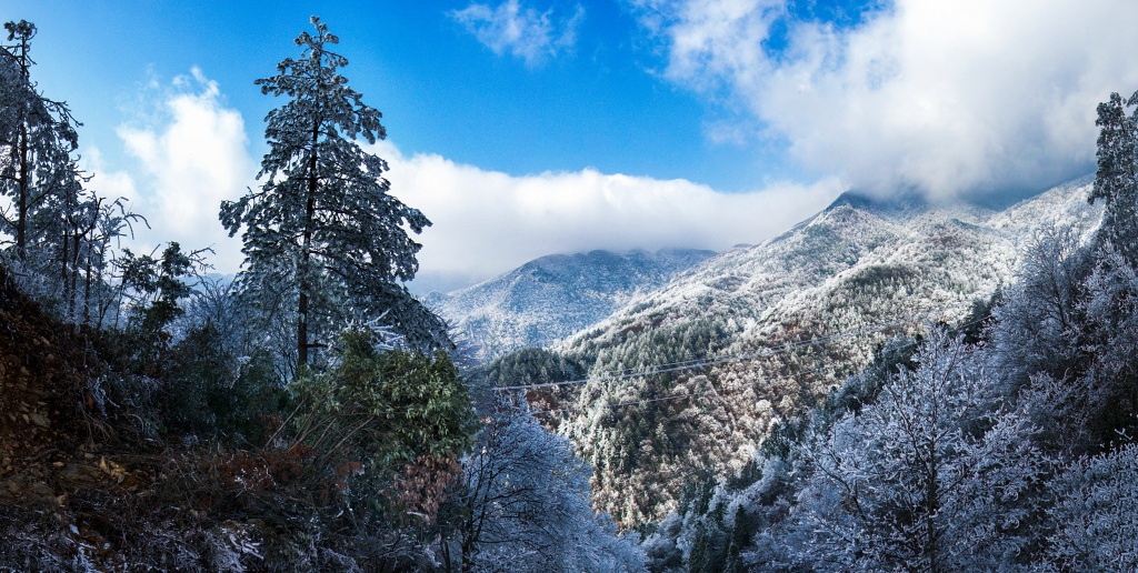 未标题_全景图1 (4) (NXPowerLite).jpg