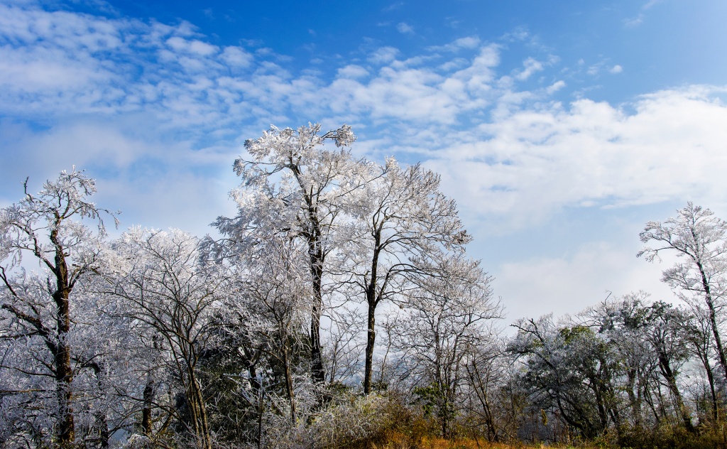 DSC_0470 (NXPowerLite).jpg