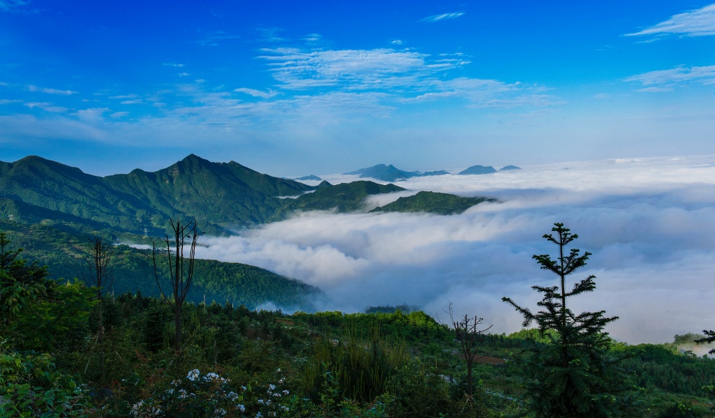 _DSC7956 (NXPowerLite).jpg