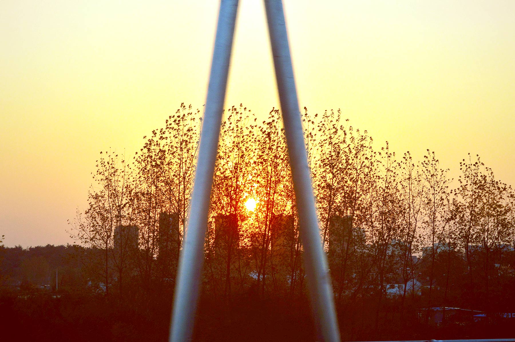 DSC_1127_副本.jpg