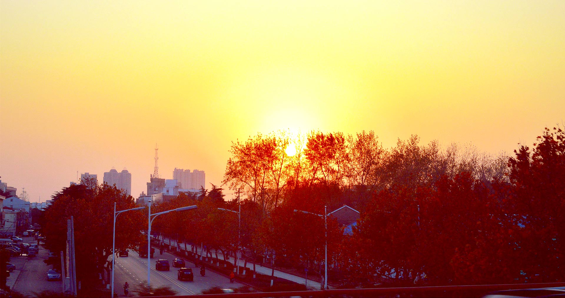 DSC_1131_副本.jpg