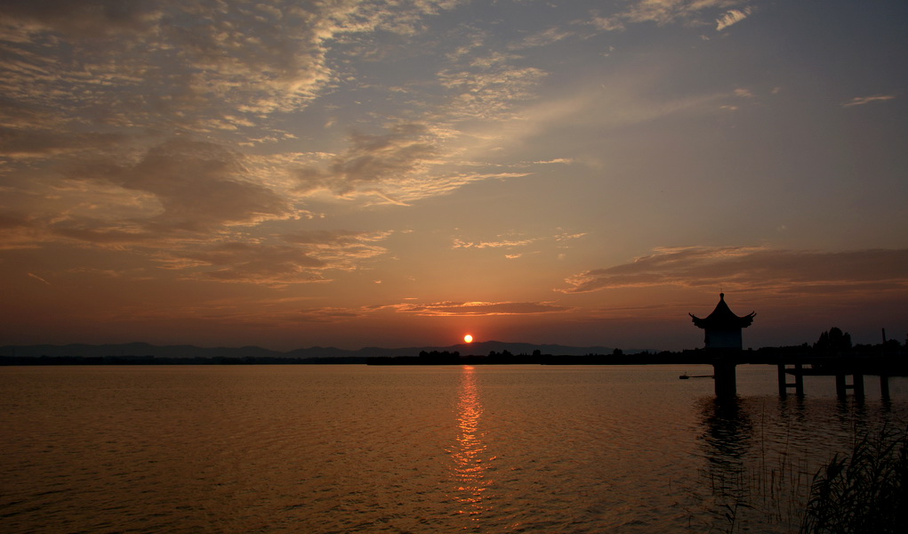 DSC_6398.JPG