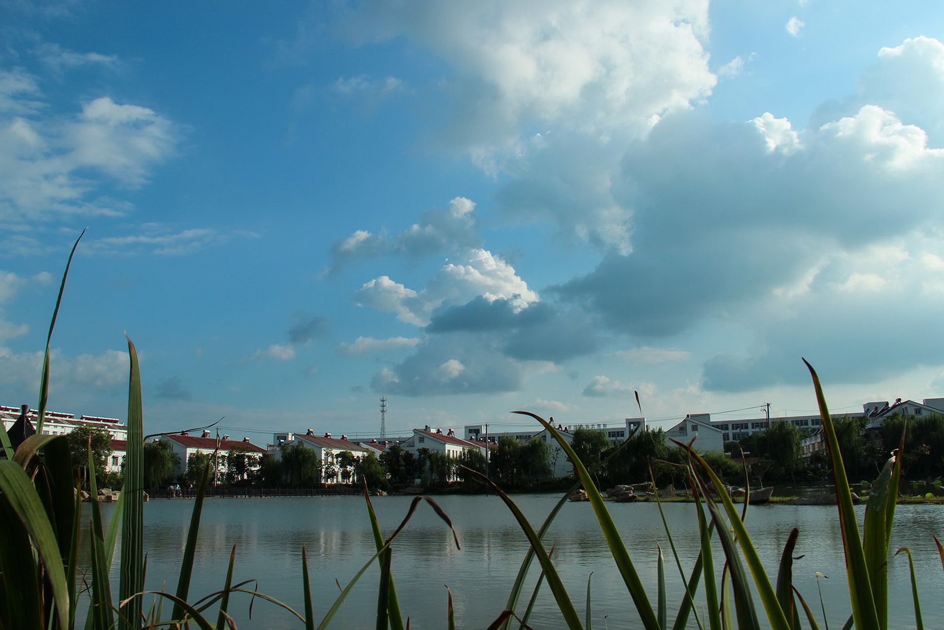 IMG_29331.jpg