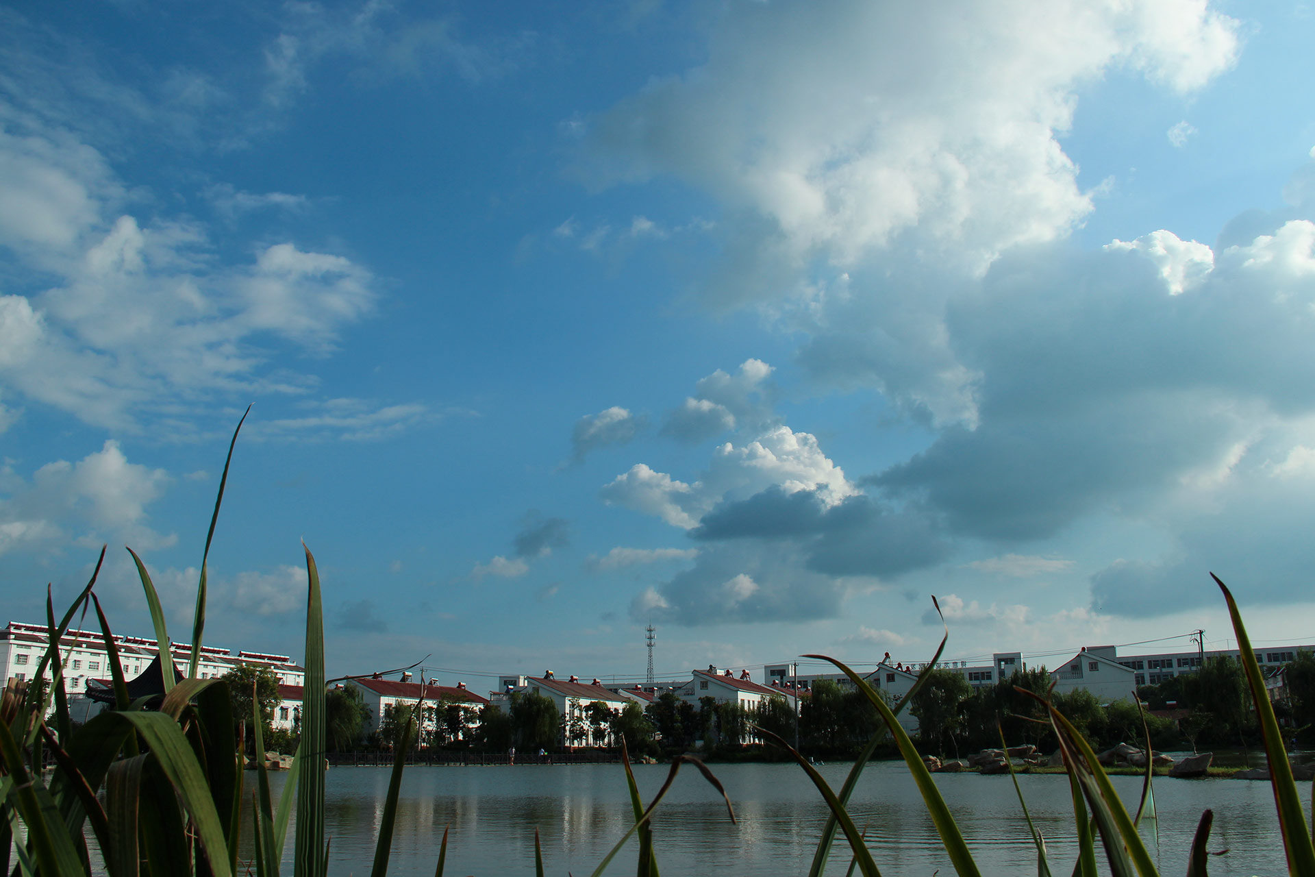 IMG_29351.jpg