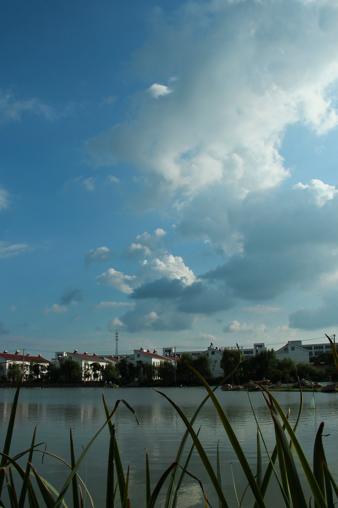 IMG_29361.jpg