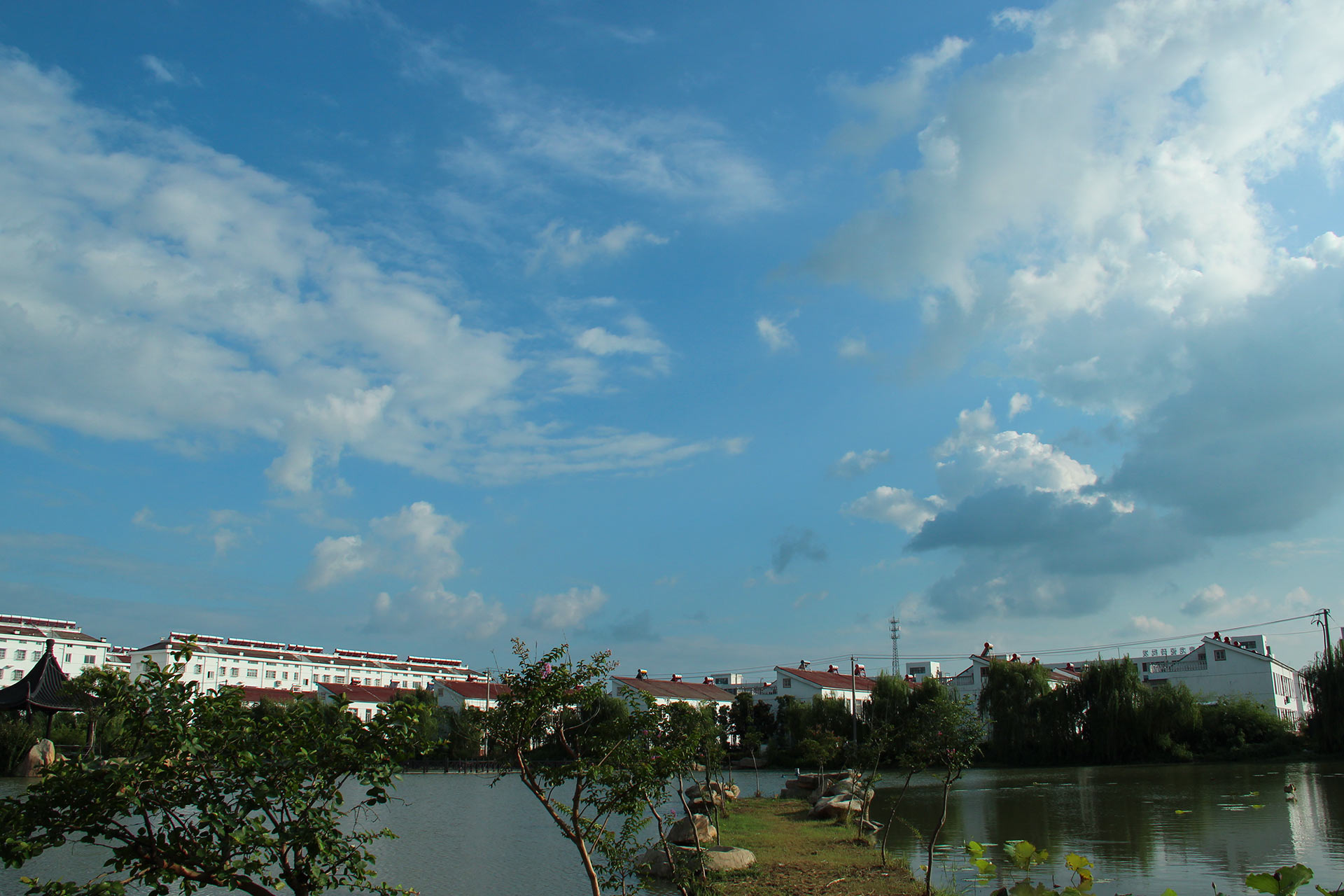 IMG_29391.jpg