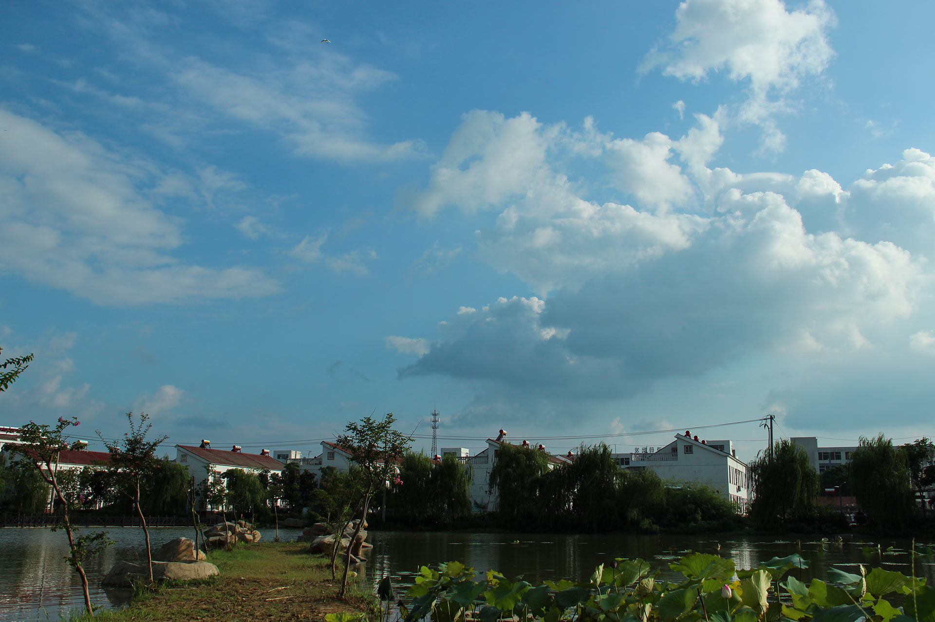 IMG_29421.jpg