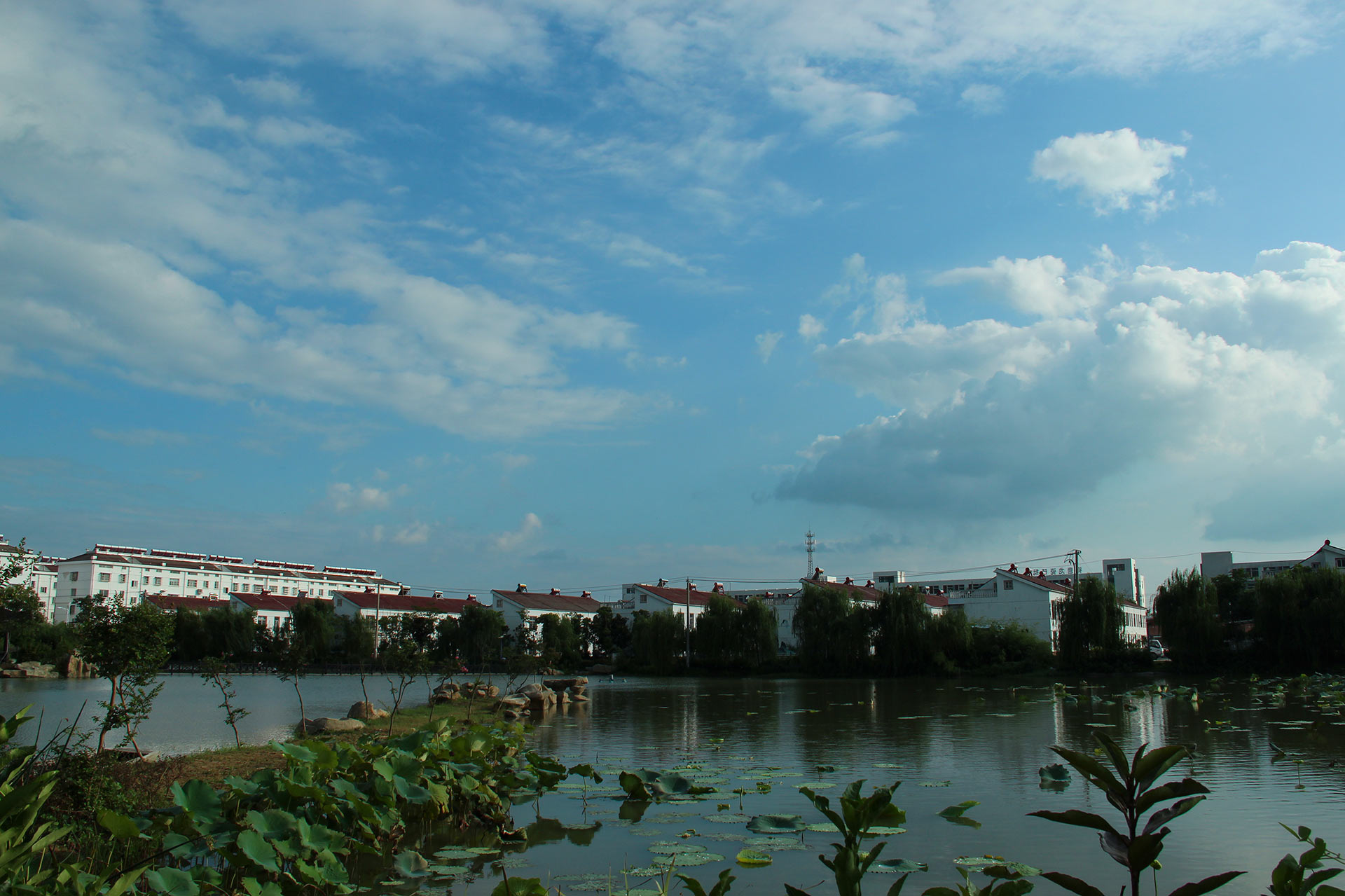 IMG_29471.jpg