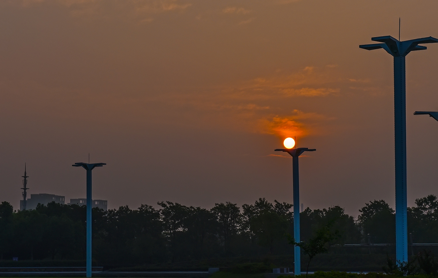 DSC_9637.jpg