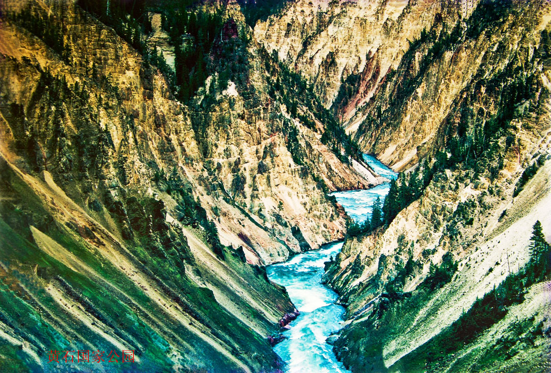 _DSC0133.jpg