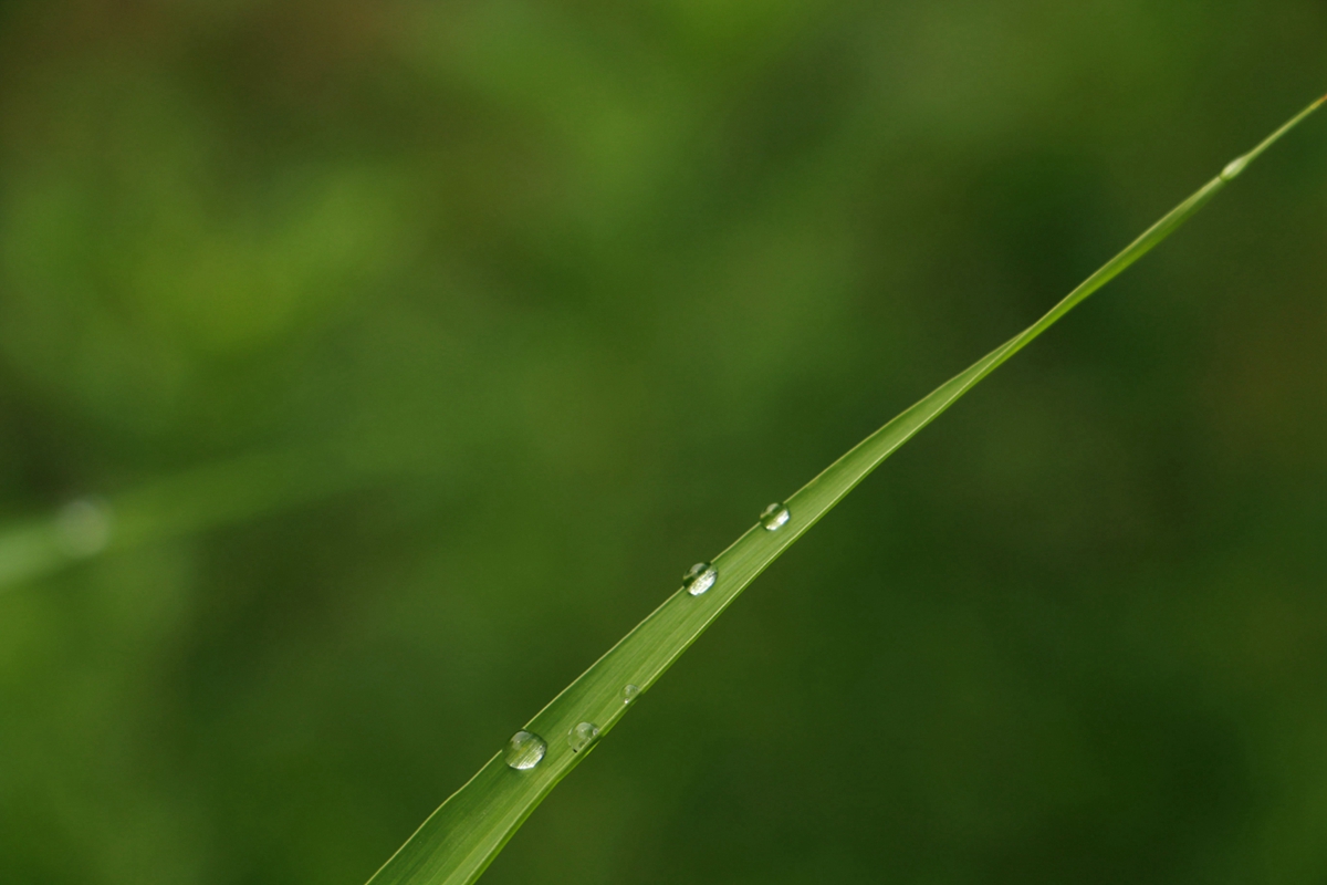 IMG_0027_副本.jpg