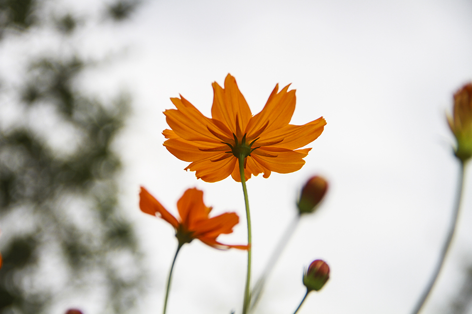IMG_7515 小 .jpg