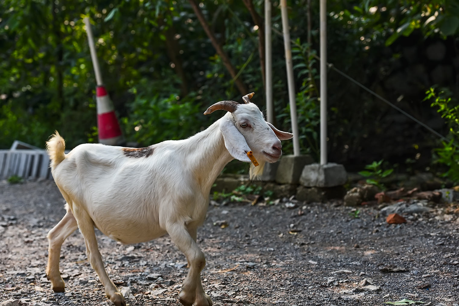 DSC_9773.jpg