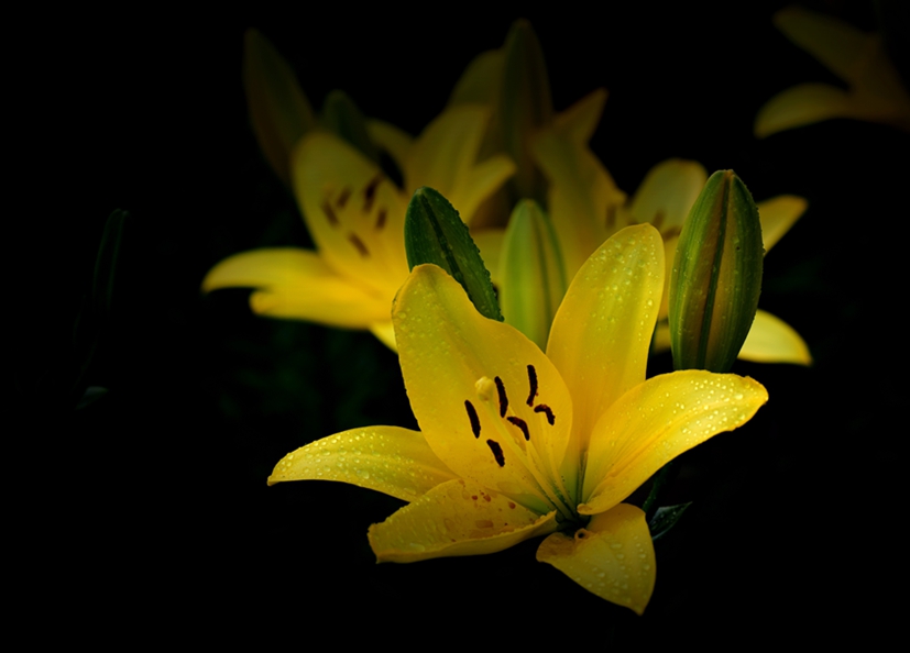 266-DSC_4293_副本_副本.jpg