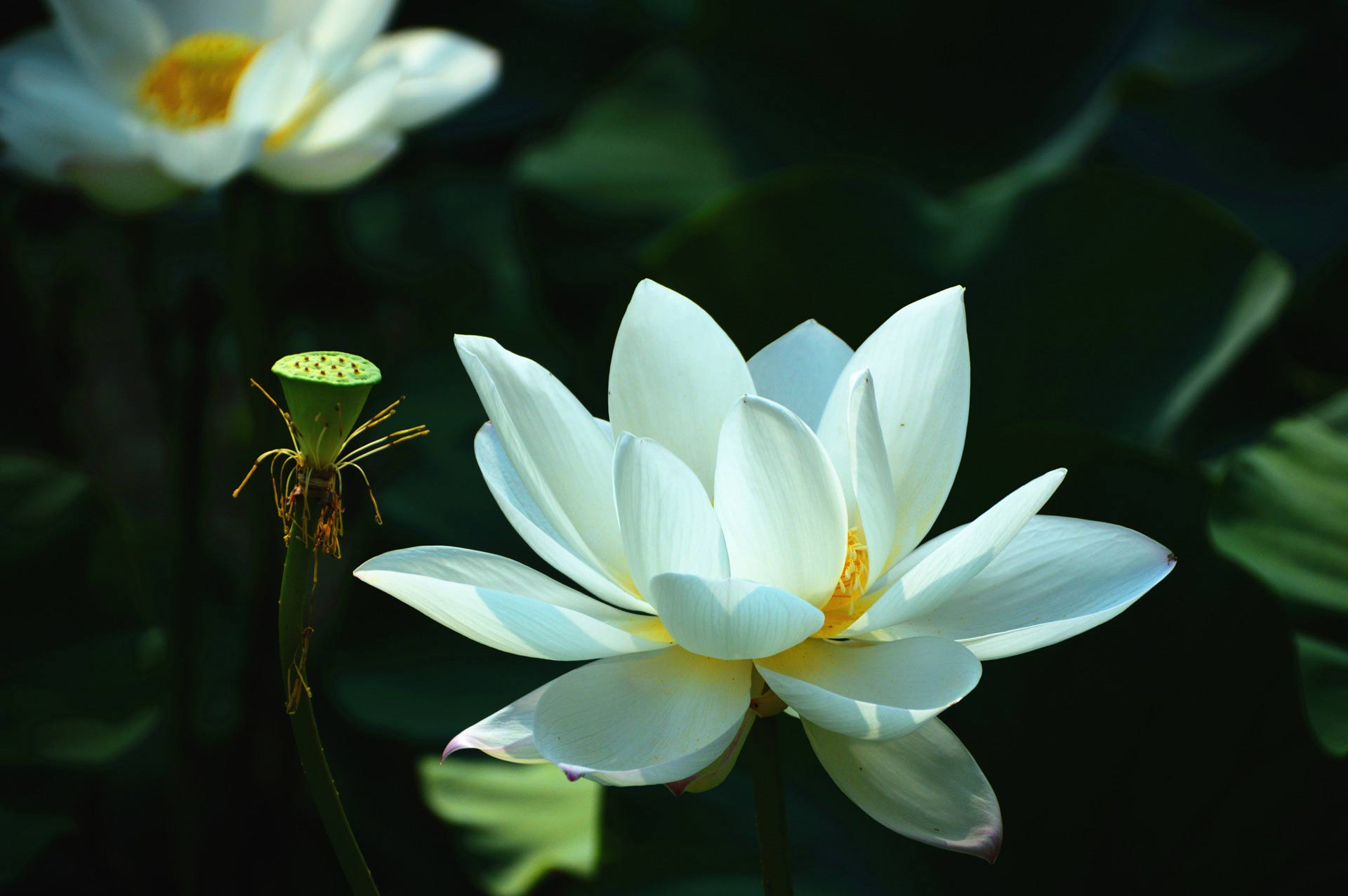 DSC_0624_副本.jpg