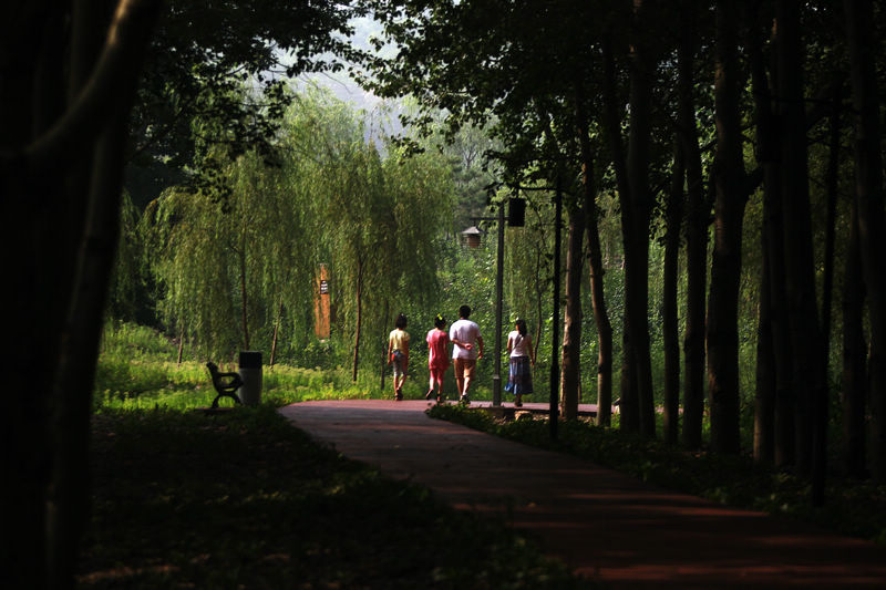 _MG_4704.JPG