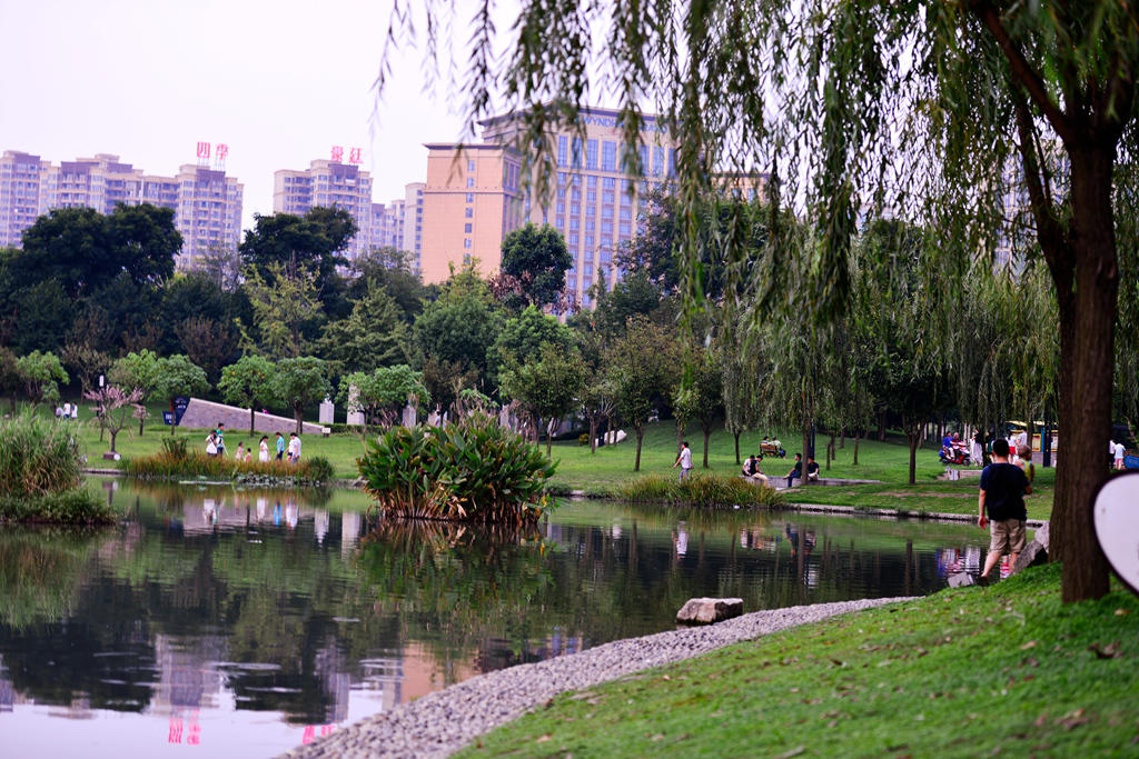 DSC_7162.JPG