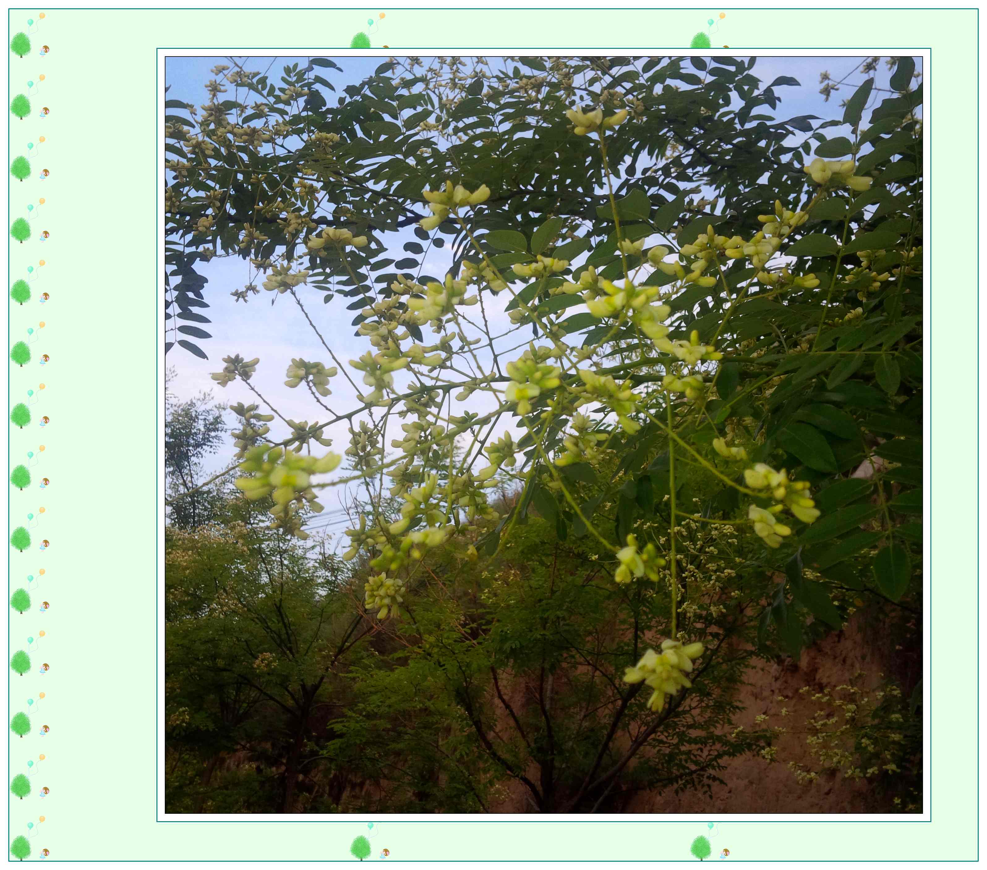 IMG_20150818_182745_conew1.jpg