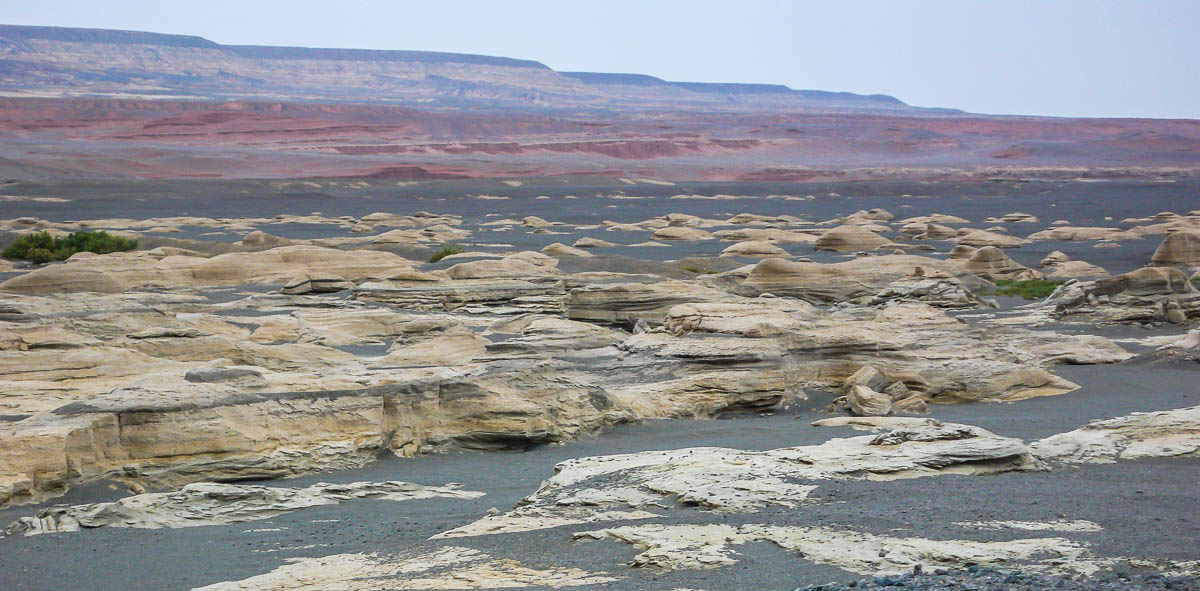 P1020766.jpg