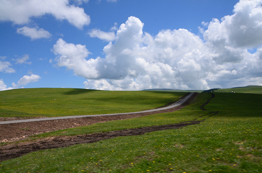 DSC_4982_副本.jpg