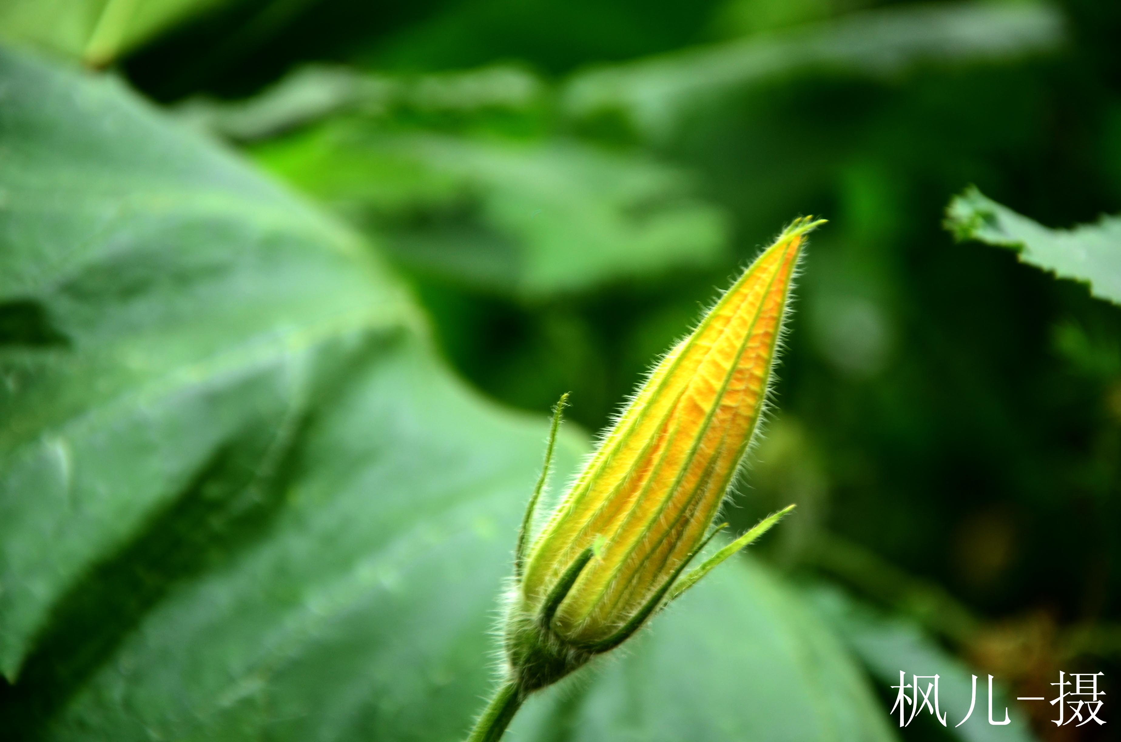 照片 080.jpg