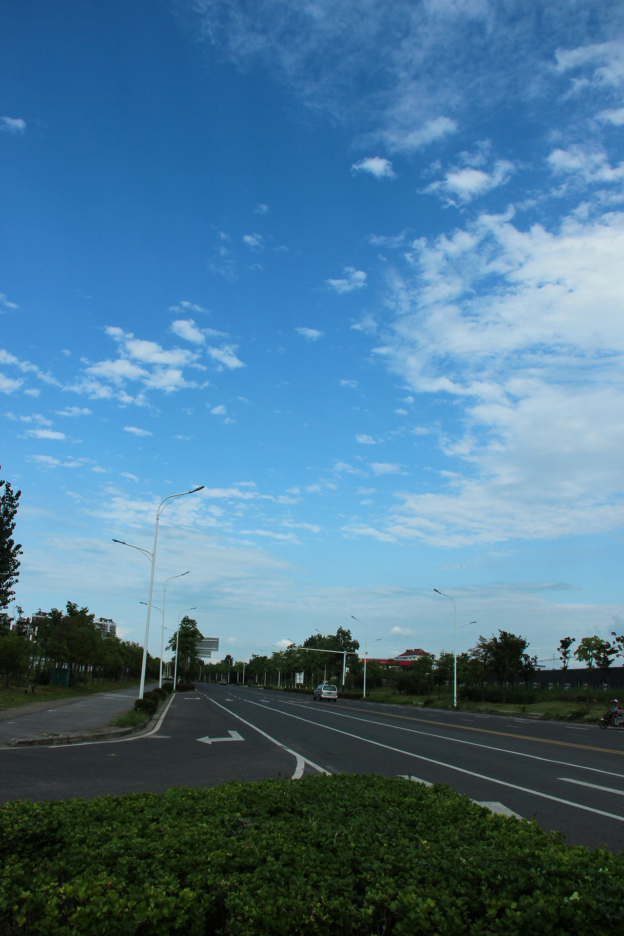 IMG_33221.jpg