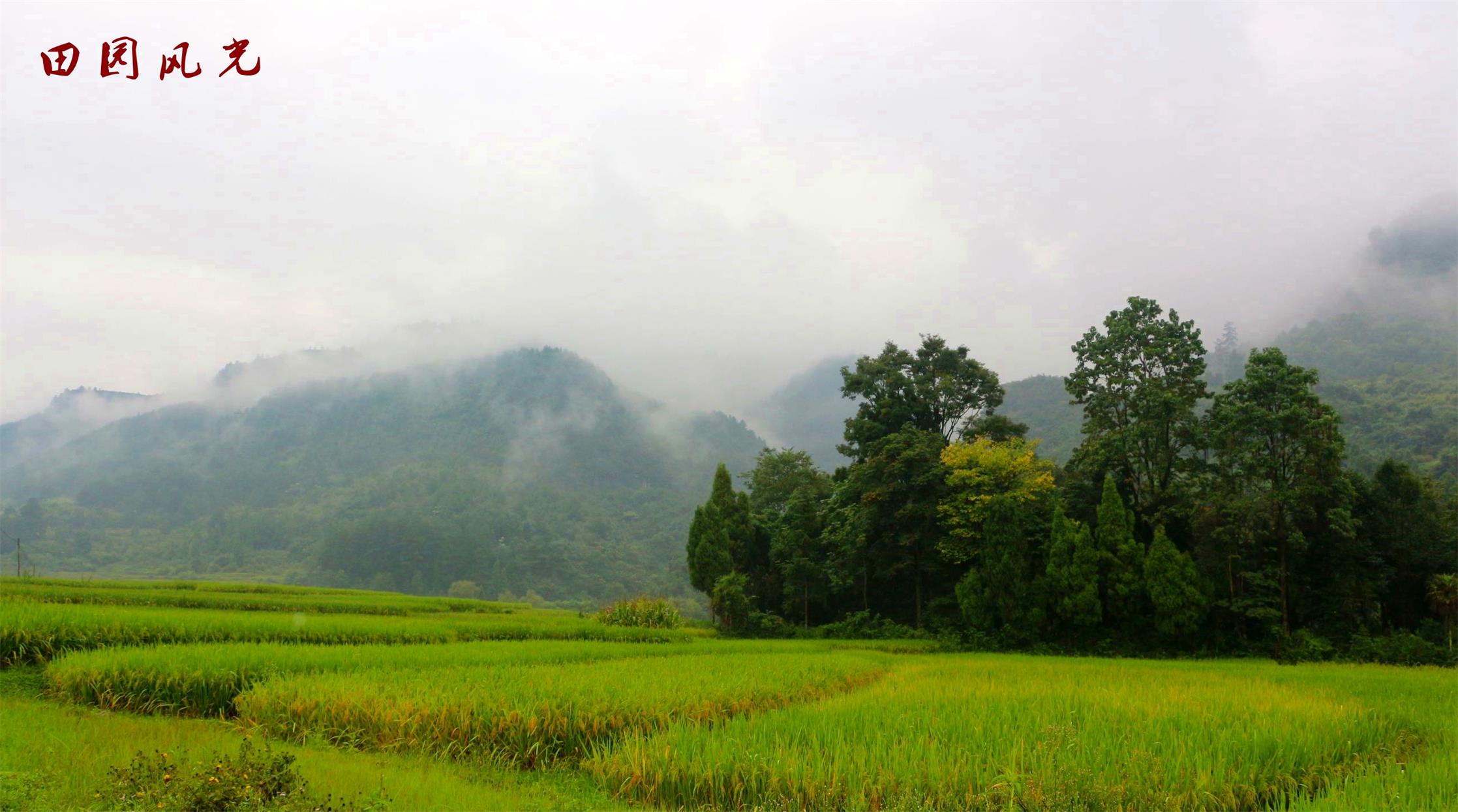 IMG_2310_看图王.jpg