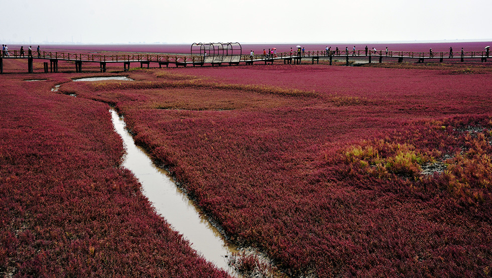 _DSC9877.jpg