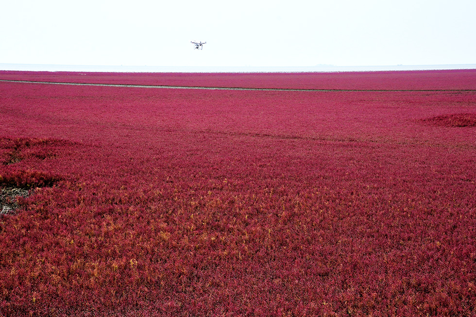 _DSC9891.jpg