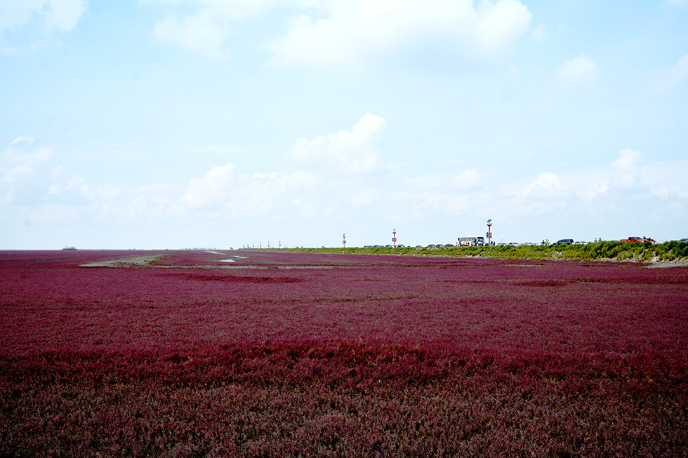 _DSC9913.jpg