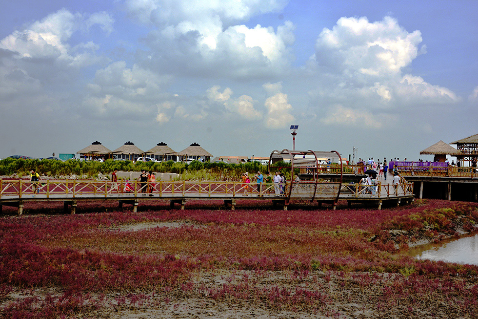 _DSC9935.jpg