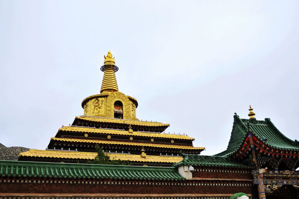 DSC_3333A.jpg