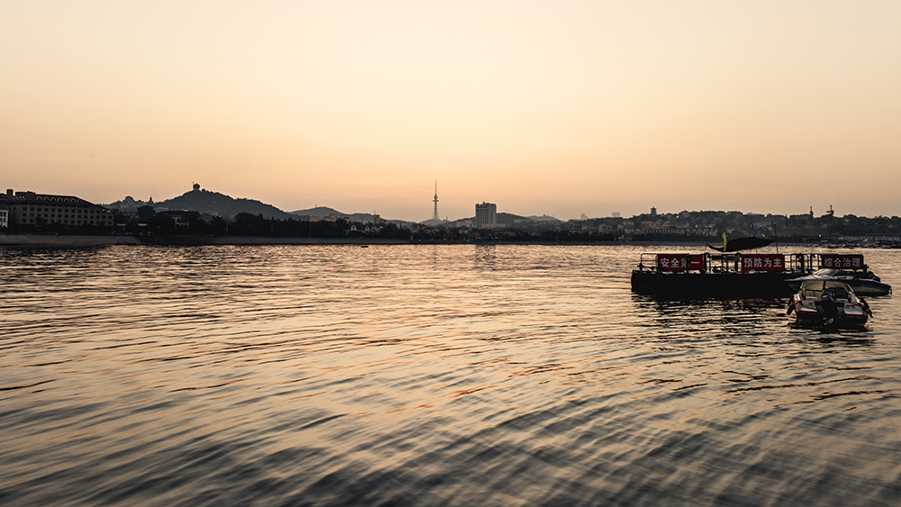 DSC_a74841.jpg