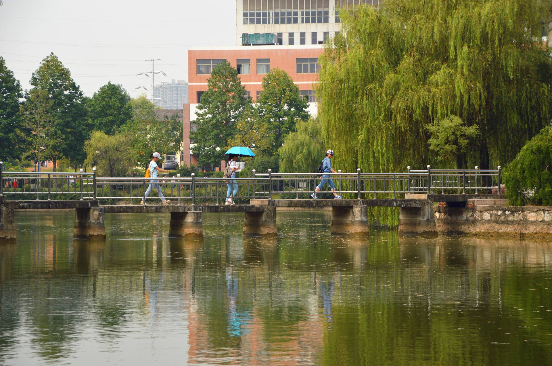 DSC_0551_副本.jpg