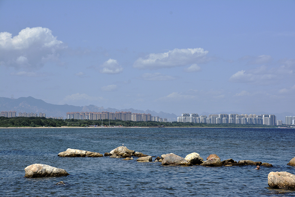_DSC8464.jpg