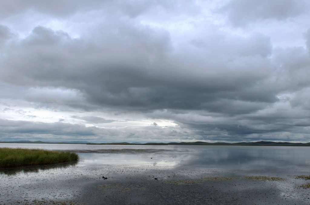 DSC_3391A.jpg