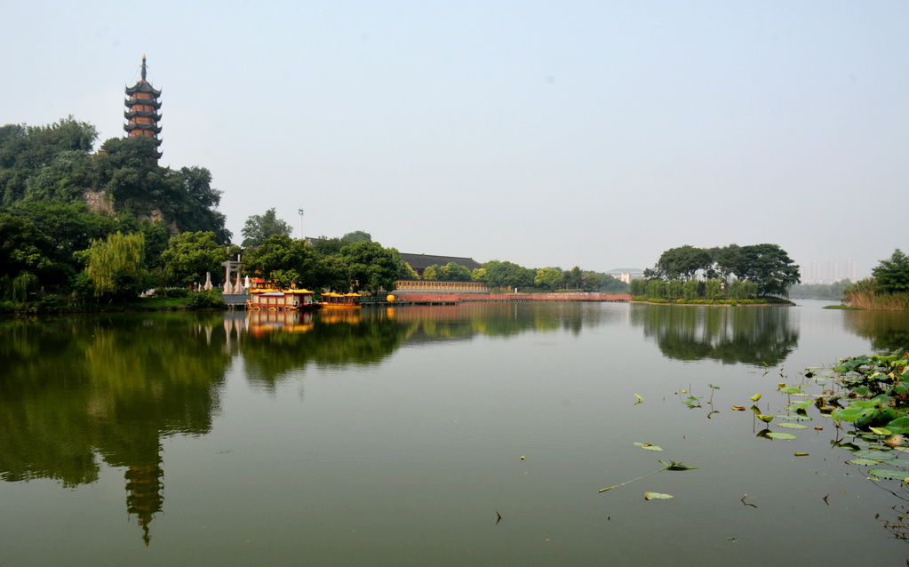 DSC_7641.JPG