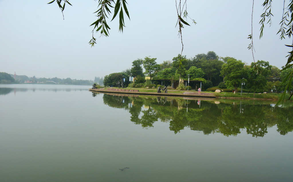 DSC_7599.JPG