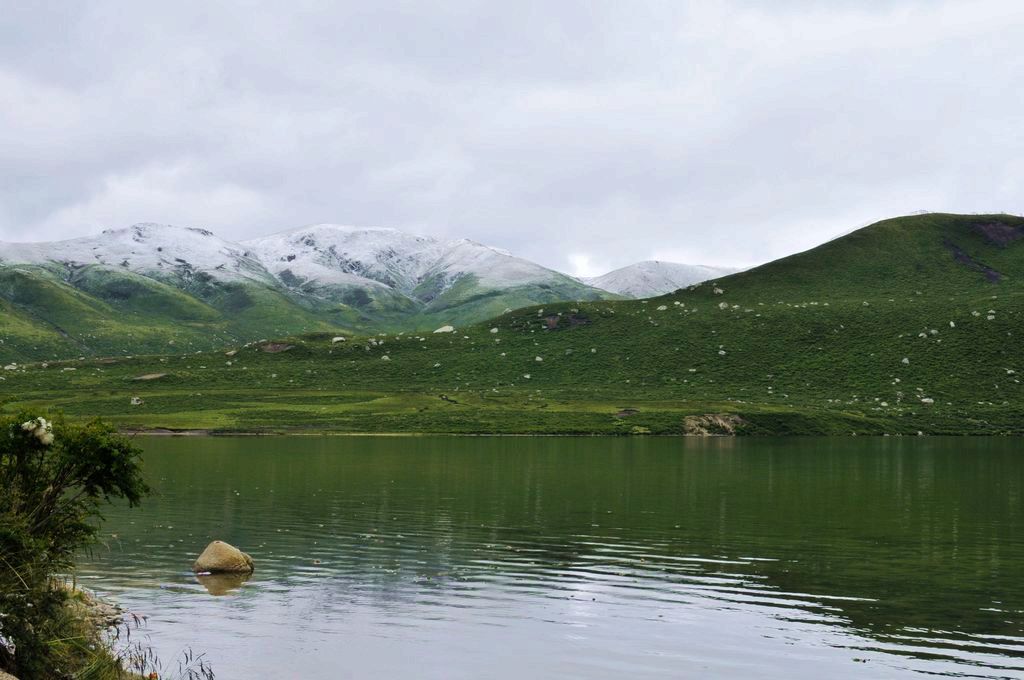 DSC_3575A.jpg
