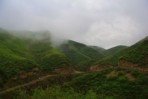 IMG_4316_dh.jpg