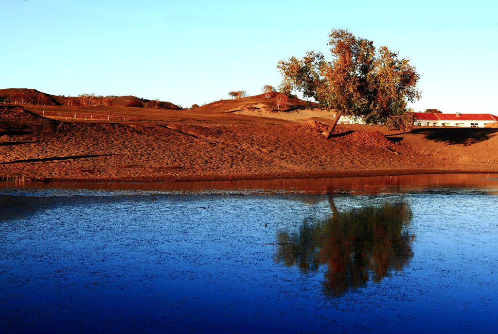 _MG_3802.JPG