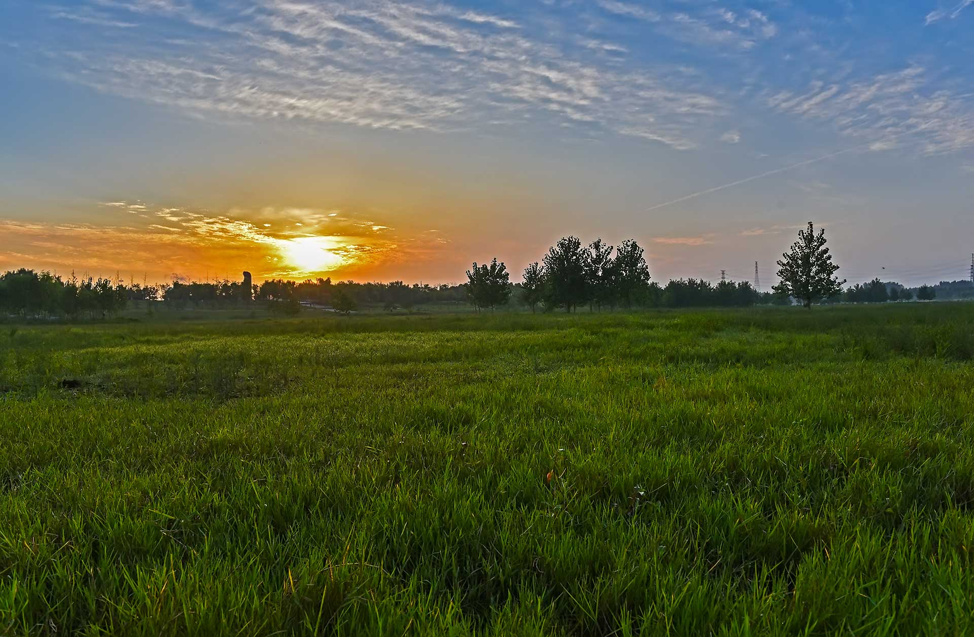 DSC_2222.jpg