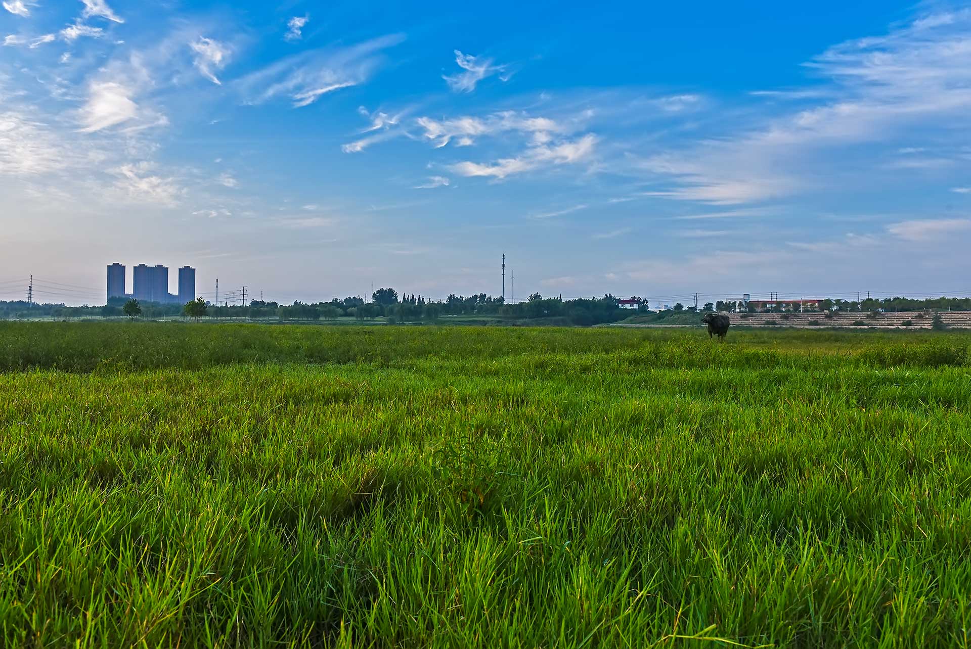 DSC_2225.jpg