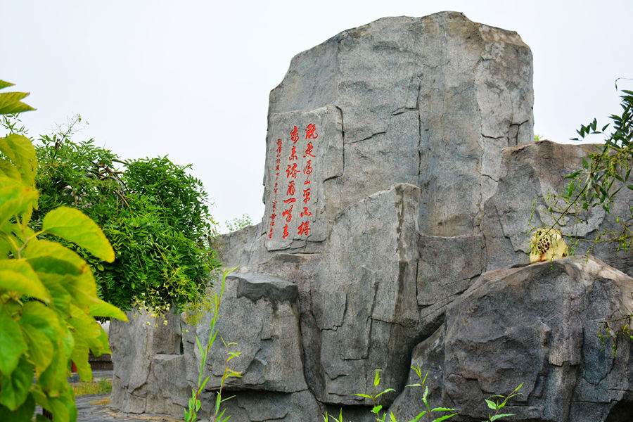 DSC_6506_副本.jpg