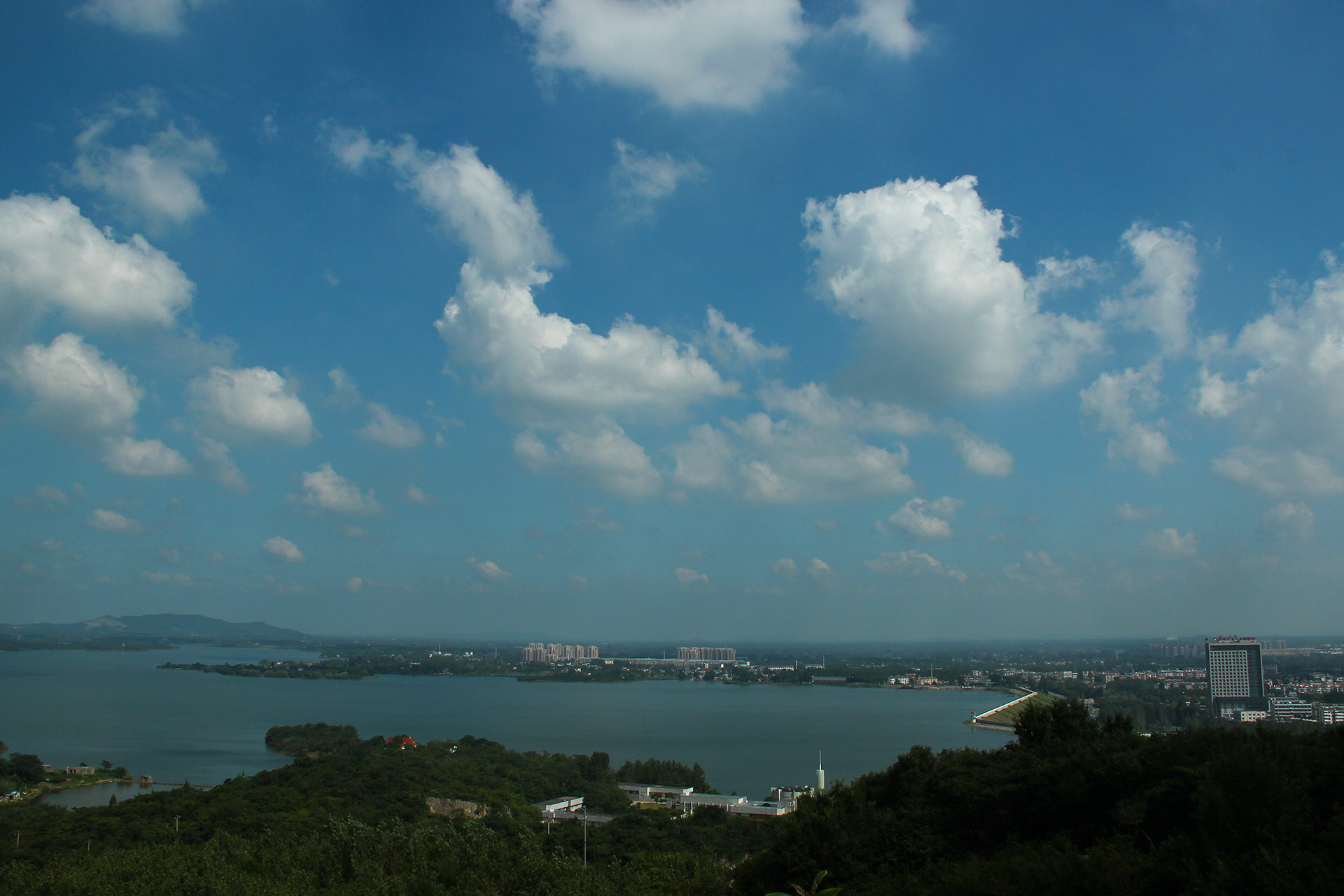 IMG_44501.jpg