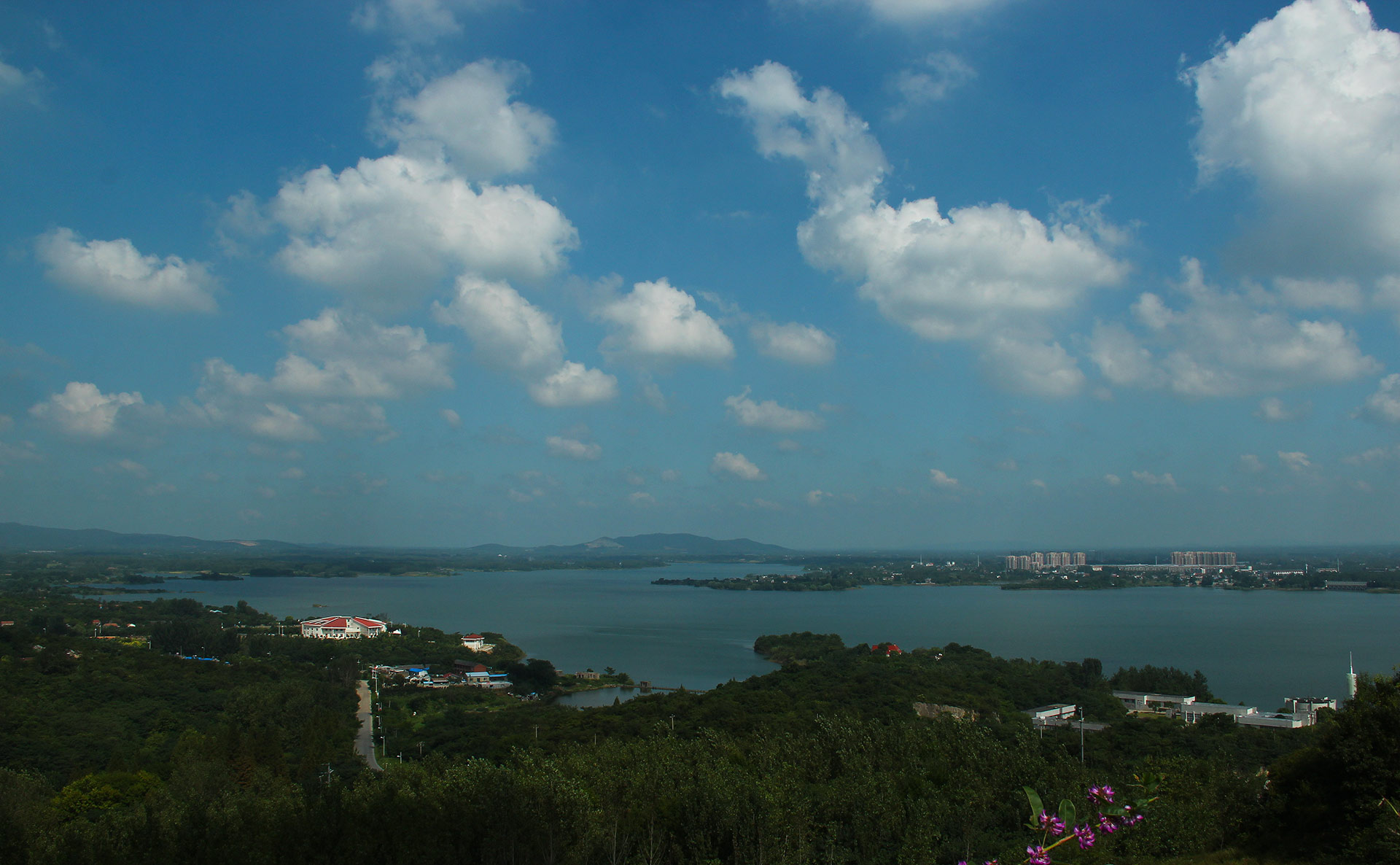 IMG_44511.jpg