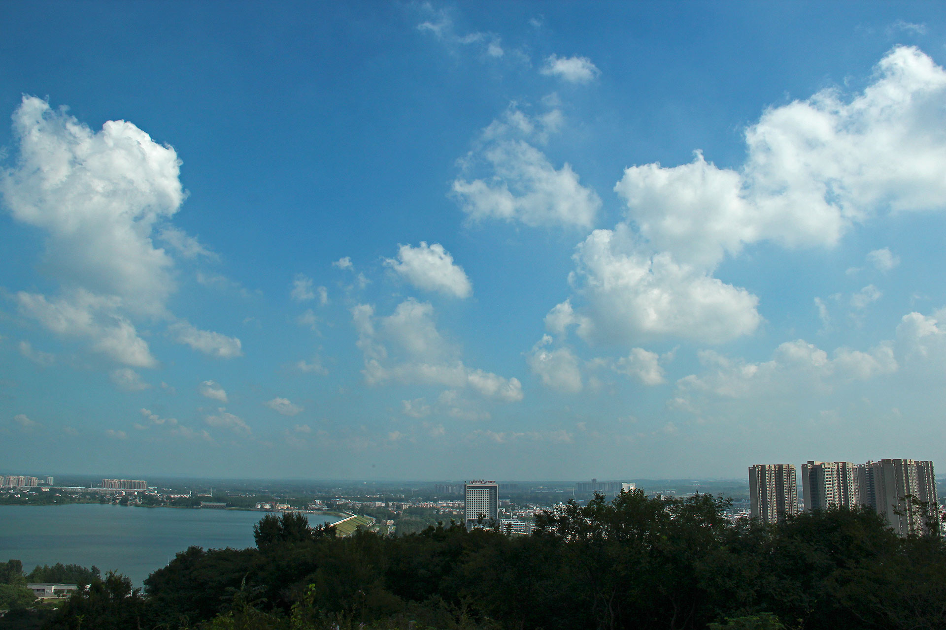 IMG_44581.jpg