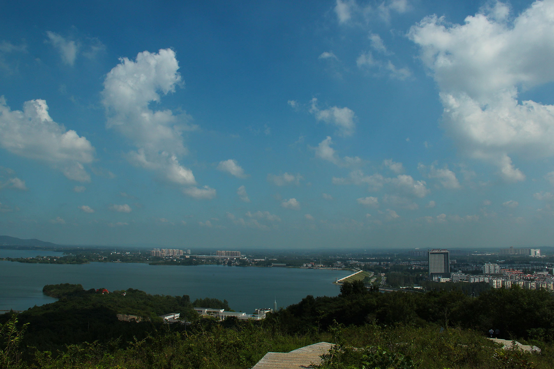 IMG_44611.jpg