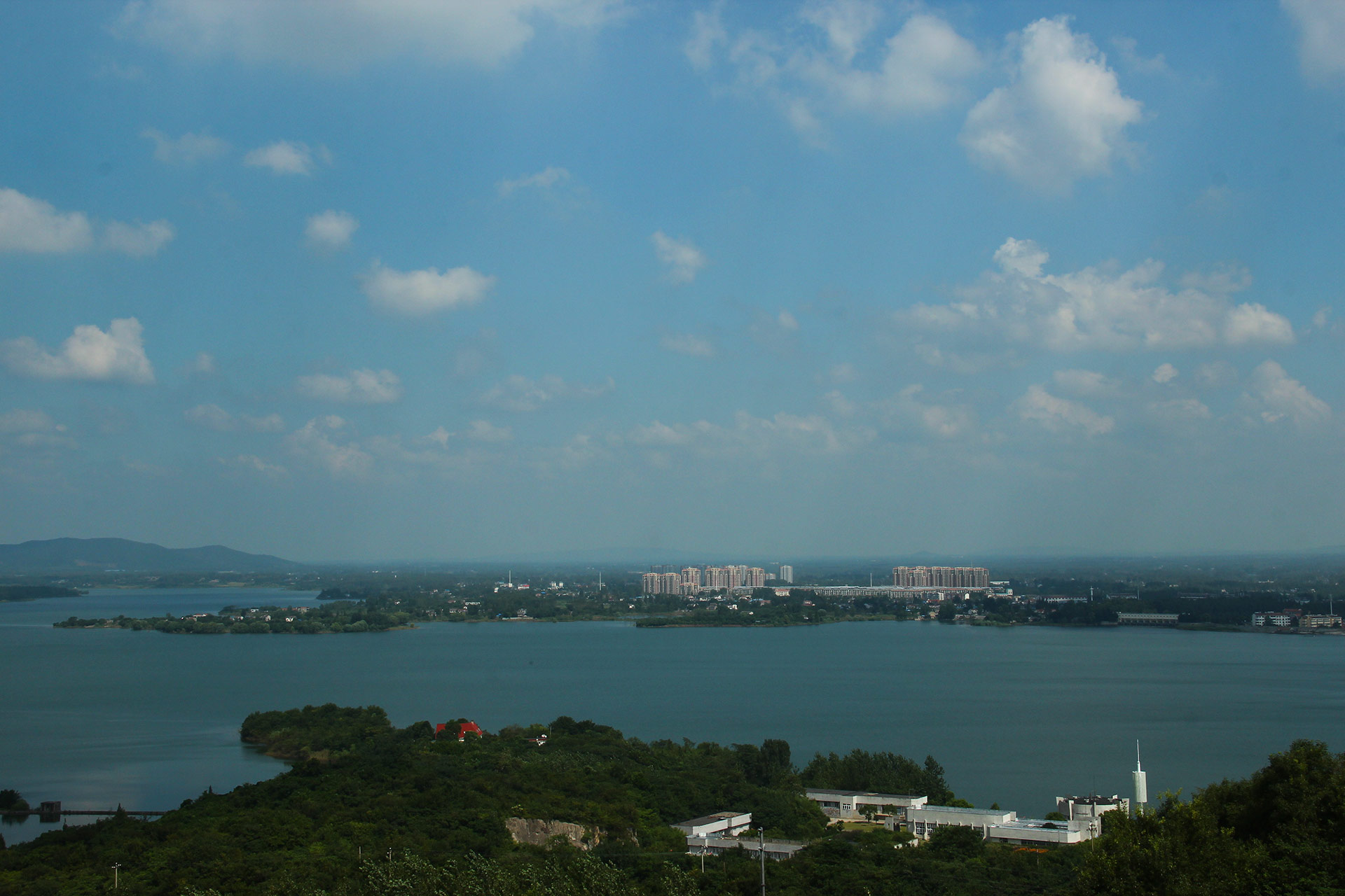 IMG_45181.jpg