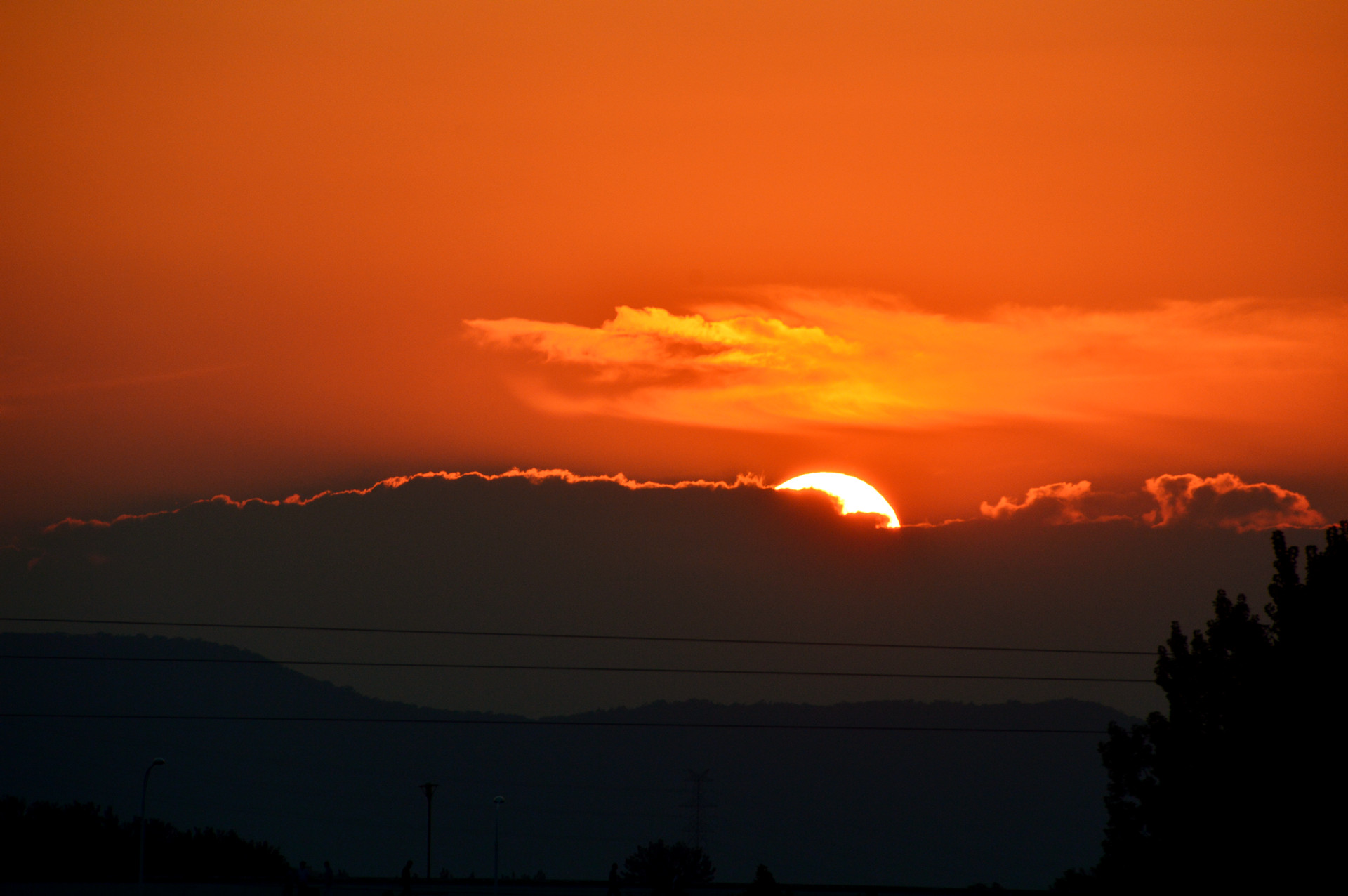 DSC_0310.JPG